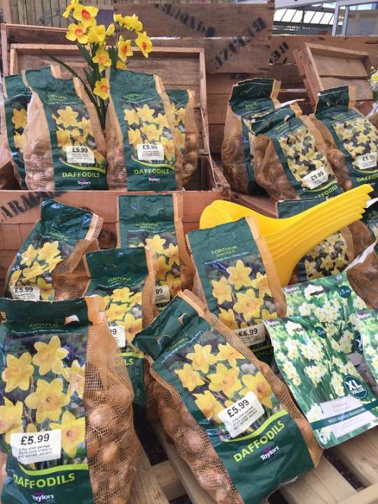 Time to plant! Conkers Garden Centre